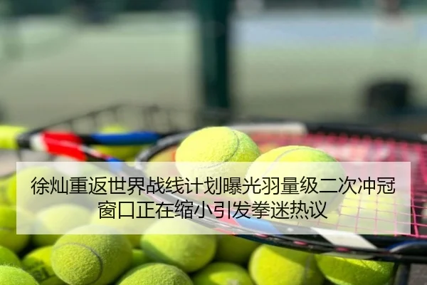 徐灿重返世界战线计划曝光羽量级二次冲冠窗口正在缩小引发拳迷热议