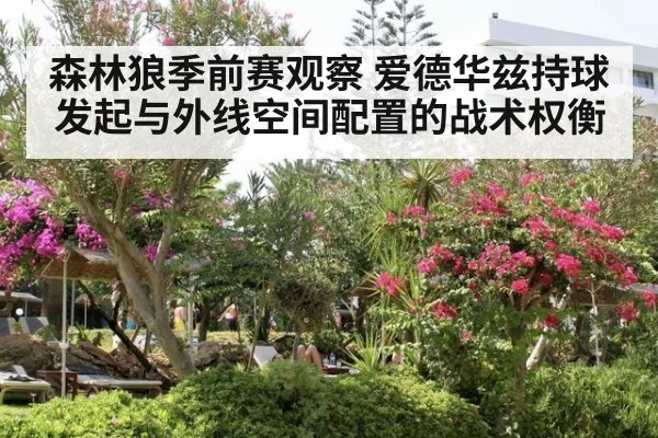 森林狼季前赛观察 爱德华兹持球发起与外线空间配置的战术权衡